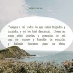 alivia-tu-carga-ven-a-mi-y-encuentra-descanso