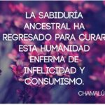 balaam-descubre-el-poder-de-la-sabiduria-ancestral