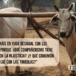 comunion-y-contraste-la-relacion-entre-la-luz-y-las-tinieblas