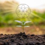 descubre-el-poder-de-la-semilla-de-la-vida-en-tu-salud-y-bienestar