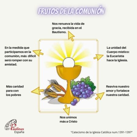 Descubre el significado de la comunión: Guía completa