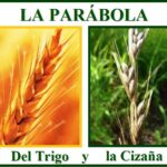 descubre-la-leccion-de-vida-en-la-parabola-del-trigo-y-la-cizana