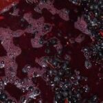 descubre-que-es-el-mosto-y-su-importancia-en-la-produccion-de-vino