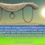 Fácil y Ligera: Descubre el Secreto de Mi Yugo para una Vida Plena facil-y-ligera-descubre-el-secreto-de-mi-yugo-para-una-vida-plena