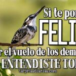 La felicidad de escuchar las palabras que nos alegran la-felicidad-de-escuchar-las-palabras-que-nos-alegran