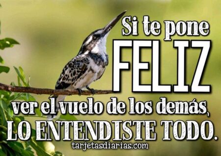 La felicidad de escuchar las palabras que nos alegran