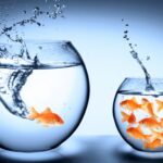 los-deseos-en-un-mundo-en-constante-cambio