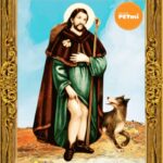 oracion-sanadora-para-mascotas-protege-y-cuida-a-tu-companero-fiel